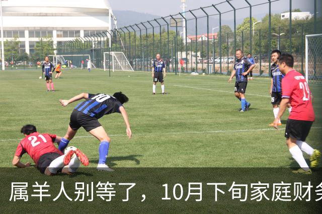 属羊人别等了，10月下旬家庭财务大洗牌，接住这笔钱看这三点