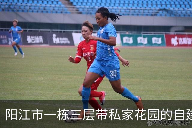 阳江市一栋三层带私家花园的自建房拍卖，才53万就成交，捡漏了